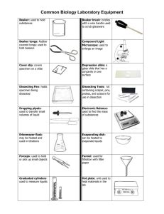 BIO Lab 3.1 Flashcards .
